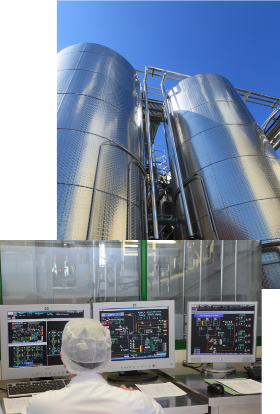 Producteur mondial de levure pour la panification