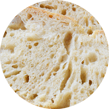 Saccharomyces cerevisiae