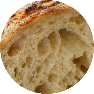 Origine et histoire de levure